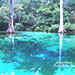 Ponce de Leon Springs